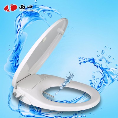 Automatic Non electric Toilet Seat Bidet With dual nozzles sprayer